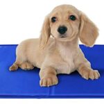 Manta-refrigerante-1.jpg Manta refrigerante 1