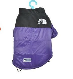 Parka dog face morada 1