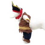 Pirata-delante-1.jpg Pirata delante 1