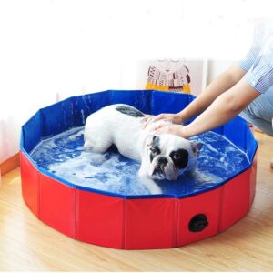 Piscina para Perros Portable Plegable un poscina para bañar o refrescar a tu mascota