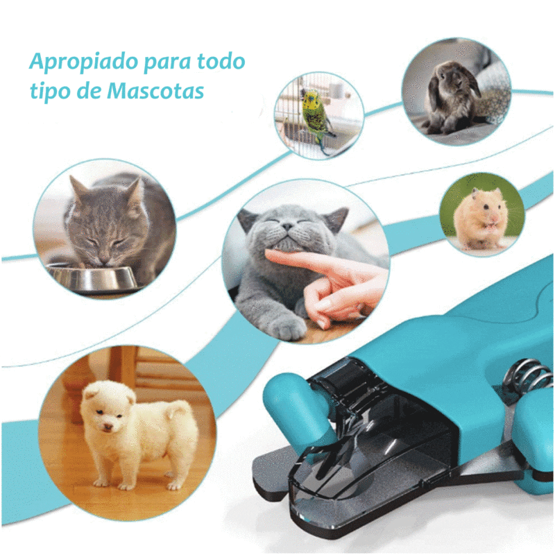 RK76-3-2.gif RK76 3 2