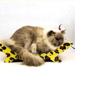 Rascador Cartón Gatos Reposera