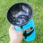 aquadog-2-1.jpg aquadog 2 1