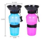 aquadog-3-1.jpg aquadog 3 1