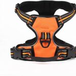 arnes-pro-2-1.jpg arnes pro 2 1