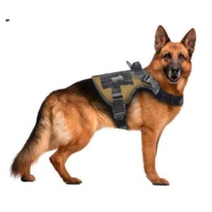 Ofertas Perros 17 Arnés Táctico Perro XL es ideal para para mascotas de tamaño grande. Con sus correas ajustables te aseguras que se acomode al tamaño de tu mascota. Disponible en diversos colores, esté arnes esta pensado en el trajin de los paseos de mascotas grandes.