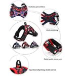 arnes-tetri-6 arnes tetri 6