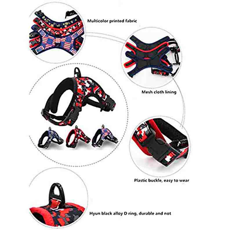 arnes-tetri-6 arnes tetri 6