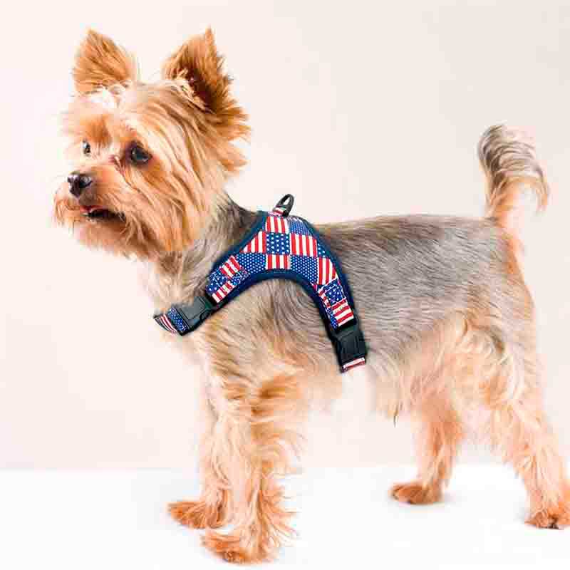 arnes-usa-3 arnes usa 3