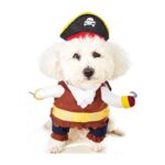 disfraz-pirata-4-1.jpg disfraz pirata 4 1