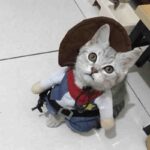 disfraz-vaquero-6-1.jpg disfraz vaquero 6 1