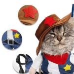 disfraz-vaquero-8-1.jpg disfraz vaquero 8 1