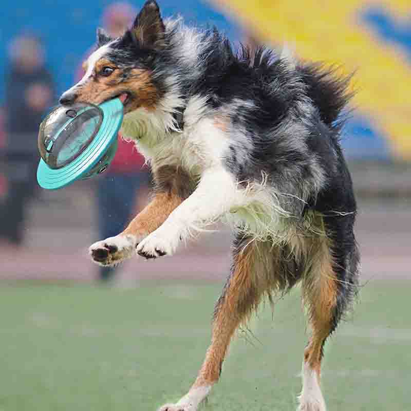 dispensador-ovni-1-1-1.jpg dispensador ovni 1 1 1