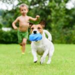 juguetes-mascotas.jpeg El Juguetes Mascotas Morderdor para Perro lata de goma con forma de lata de bebida soda estimula la diversión. Ayuda a tu perro a luchar contra el aburrimiento y a mantenerse ocupado mientras estás fuera. El juguete de perros mordedor es para perros de todas las edades y tamaños. Colores disponibles: Celeste y Rosa.