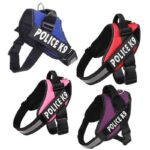 k9-1-1-1.jpg k9 1 1 1