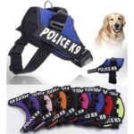 k9-colores-1.jpg k9 colores 1