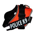 k9-naranjo-1.jpg k9 naranjo 1