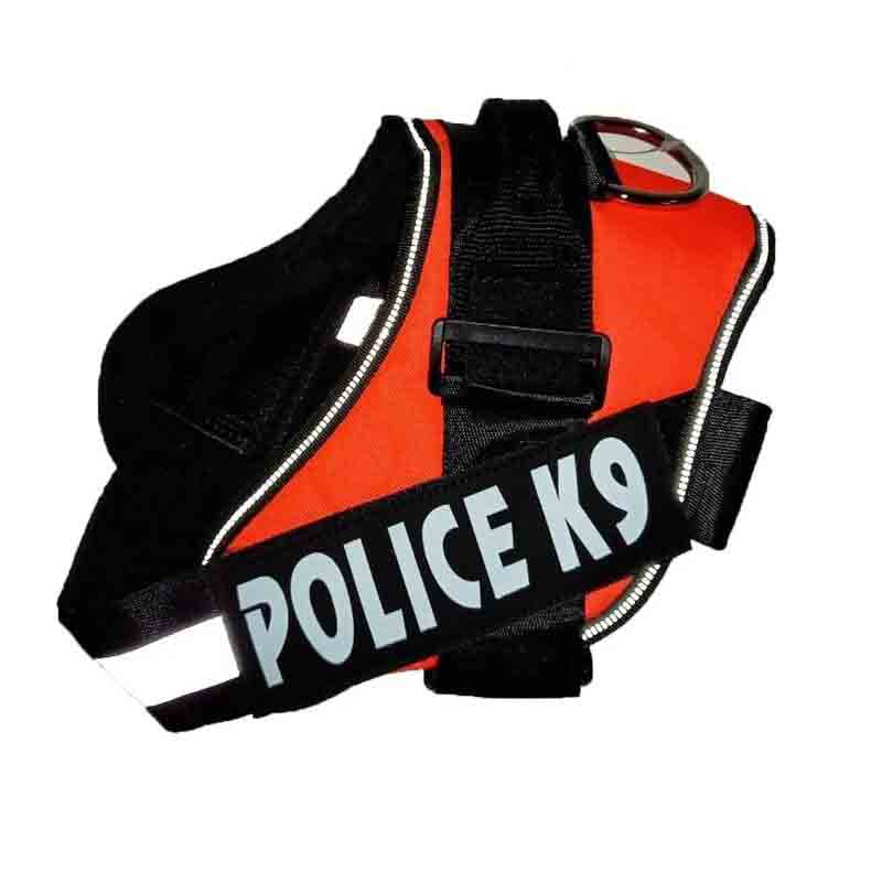 k9-naranjo-1.jpg k9 naranjo 1