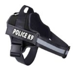 k9-negro-1.jpg k9 negro 1