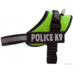 k9-pistacho-1.jpg k9 pistacho 1