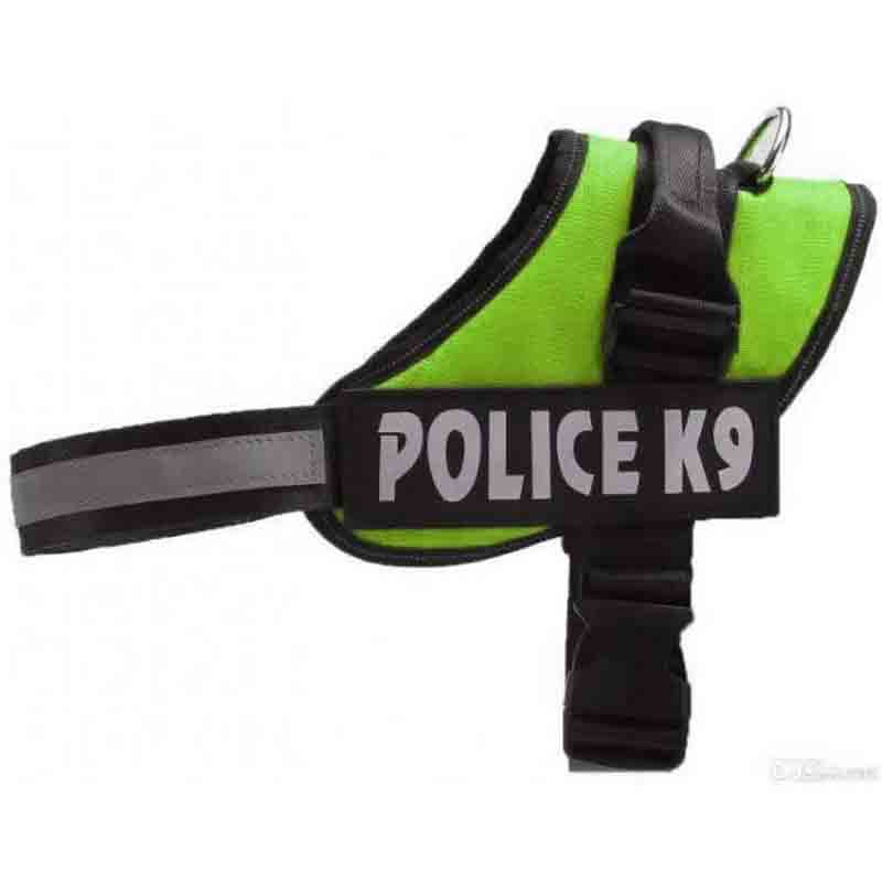 k9-pistacho-1.jpg k9 pistacho 1