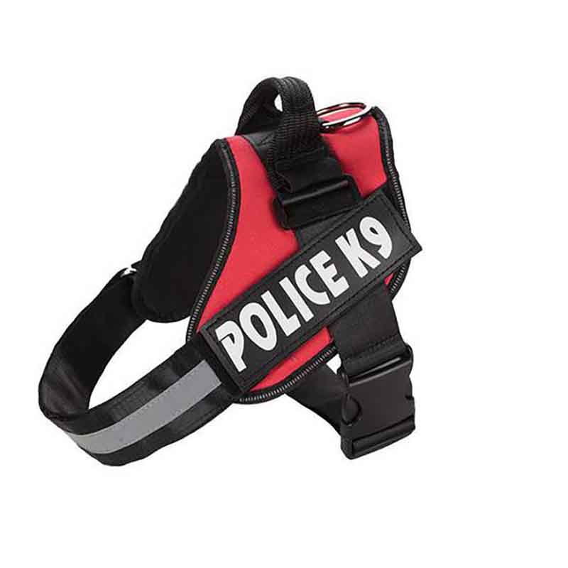 k9-rojo-1.jpg k9 rojo 1