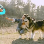 ovni-5-1.jpg ovni 5 1