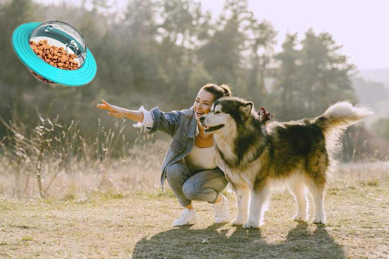 ovni-5-1.jpg ovni 5 1