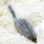 raton-29cm-3-gris-1.jpg raton 29cm 3 gris 1