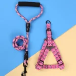 rnes-correa5-1.webp rnes correa5 1