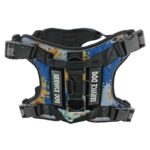 service-dog-azul-1-1.jpg service dog azul 1 1