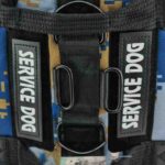 service-dog-azul-2-1.jpg service dog azul 2 1