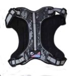 service-dog-gris-1.jpg service dog gris 1