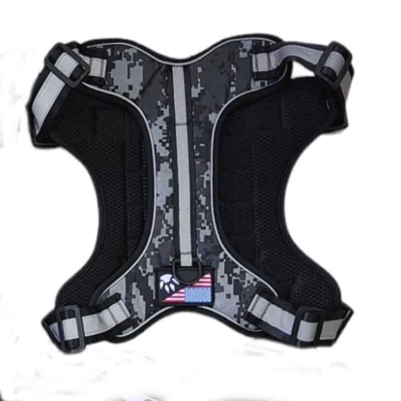 service-dog-gris-1.jpg service dog gris 1