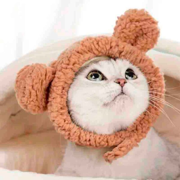 gorro oso gato 1