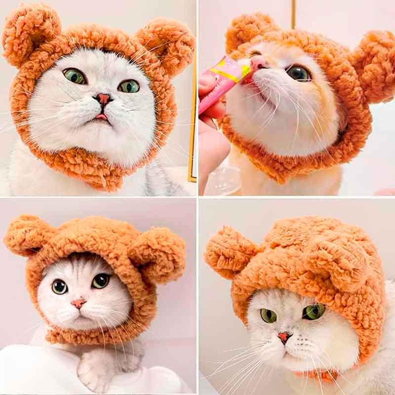 gorro-oso-gato-5 gorro oso gato 5