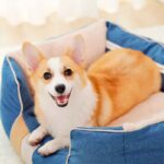 Cama-Lino-Sintético-7-6 Cama Lino Sintetico 7 6