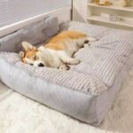 CamaPerroGrandeLavable3 CamaPerroGrandeLavable3