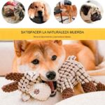 Peluche-perro-burro Peluche perro burro