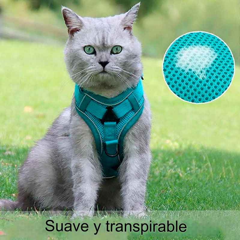 arnes-acolchado-7-4 arnes acolchado 7 4