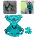 arnes-acolchado-7-5 arnes acolchado 7 5