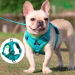 Arnés para Perros-Raza-Pequeña-Talla-XL Arnés para Perros Raza Pequeña Talla XL ha sido diseñado con características técnicas de vanguardia para brindar la máxima comodidad y seguridad durante los paseos diarios. Con una combinación de materiales de alta calidad y un diseño meticuloso, este arnés es la opción ideal para perros medianos que necesitan un ajuste cómodo y seguro.