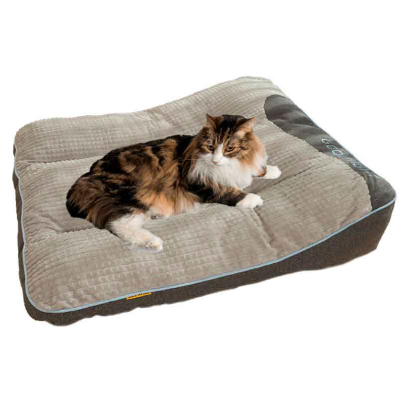 cama-gato-colchon cama gato colchon