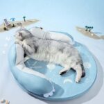 camasdegatosredonda2 camasdegatosredonda2