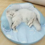 cama-de-gatos-redonda Camas de Gatos Redonda con Borde Hoopet respirable. Diseñada específicamente para proporcionar una superficie fresca y transpirable para tu felino, esta cama combina estilo, funcionalidad y confort en un paquete excepcional. Con su diseño redondo y bordes elevados, esta cama ofrece un refugio fresco y acogedor donde tu gato podrá descansar plenamente durante los meses más cálidos del año.