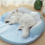 camasdegatosredonda4 camasdegatosredonda4