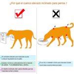 comedero-bambu-7-7 comedero bambu 7 7