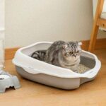 Caja-Arena-Gatos-bierta-7-4 Caja Arena Gatos bierta 7 4 1