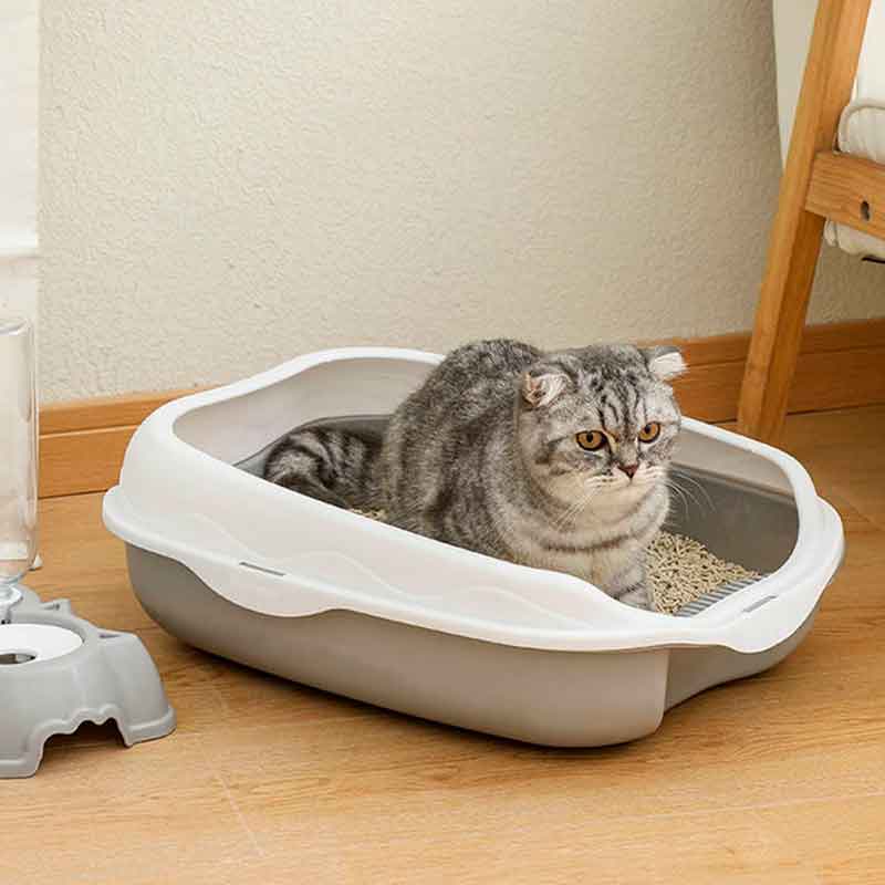 Caja-Arena-Gatos-bierta-7-4 Caja Arena Gatos bierta 7 4 1