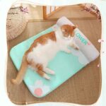 Cama-gato-Perro-Verano-Colchón-7-1 Cama gato Perro Verano Colchon 7 1